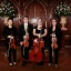Serenata Strings11