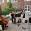 Serenata Strings1