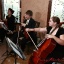 Serenata Strings5